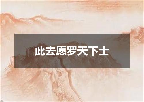 此去愿罗天下士
