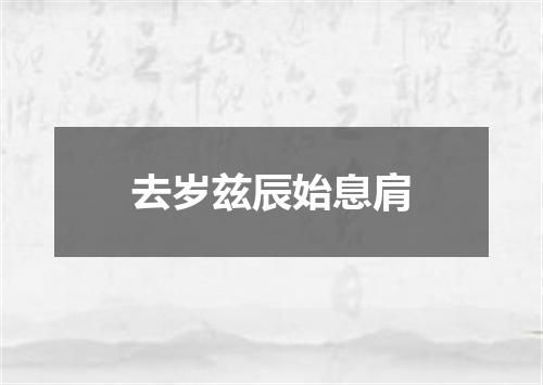 去岁兹辰始息肩