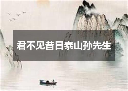 君不见昔日泰山孙先生