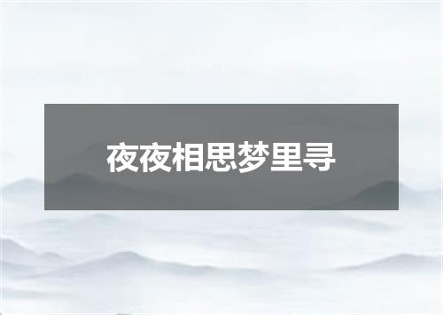 夜夜相思梦里寻