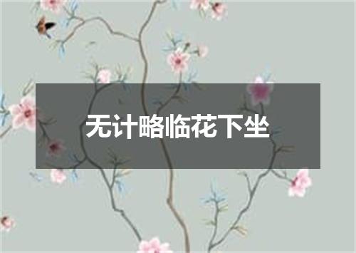 无计略临花下坐