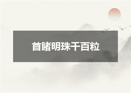 首睹明珠千百粒