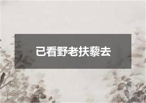 已看野老扶藜去