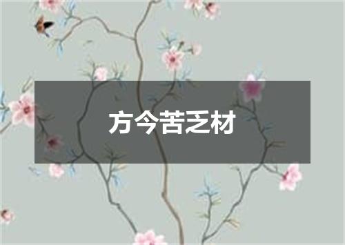 方今苦乏材