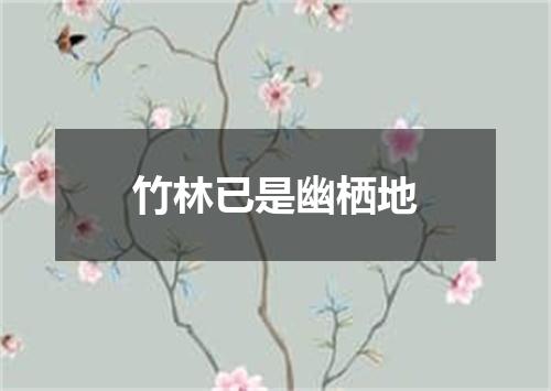竹林已是幽栖地