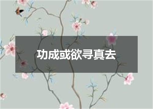 功成或欲寻真去