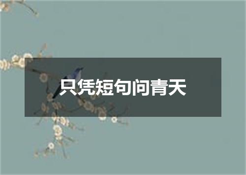 只凭短句问青天