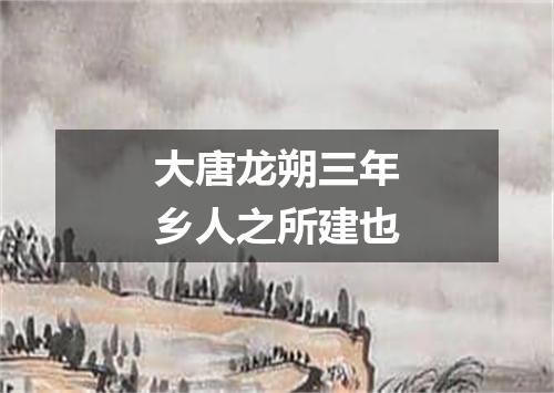 大唐龙朔三年乡人之所建也