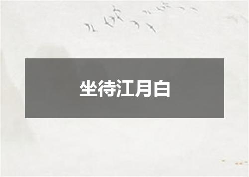 坐待江月白