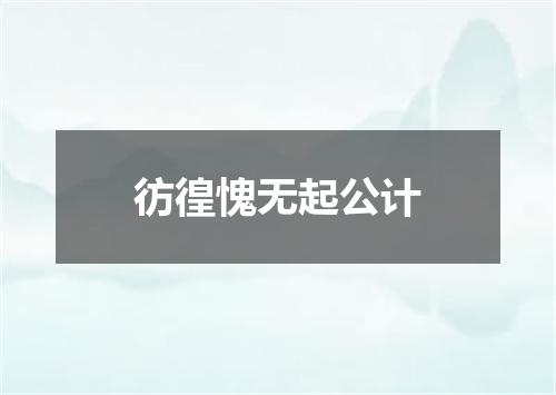 彷徨愧无起公计