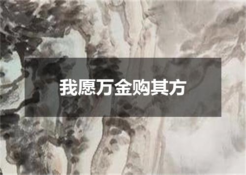 我愿万金购其方