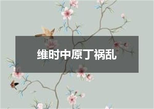 维时中原丁祸乱