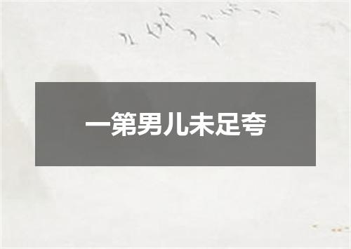 一第男儿未足夸