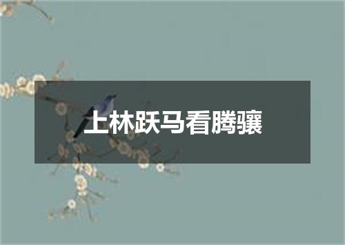 上林跃马看腾骧