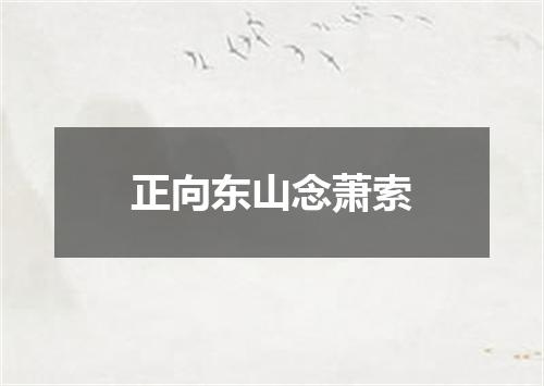 正向东山念萧索