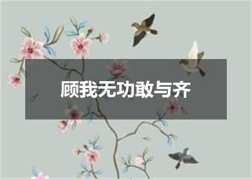 顾我无功敢与齐