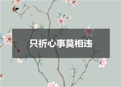 只祈心事莫相违