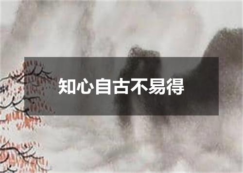知心自古不易得