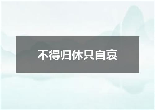 不得归休只自哀