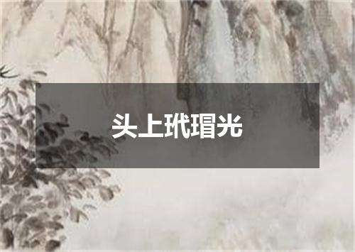 头上玳瑁光