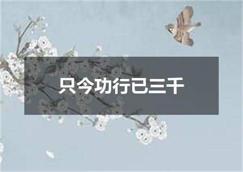 只今功行已三千