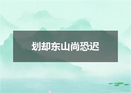 划却东山尚恐迟