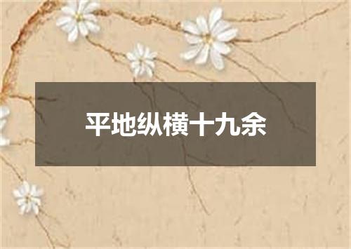 平地纵横十九余