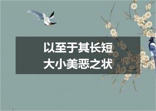 以至于其长短大小美恶之状