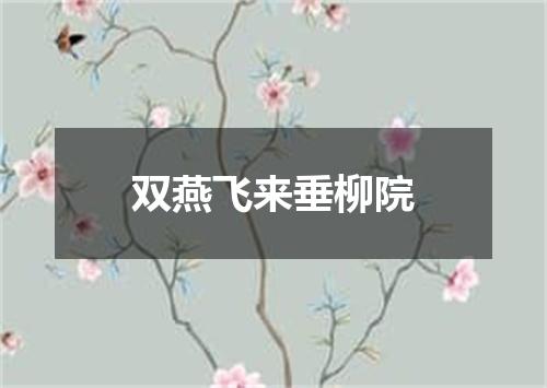 双燕飞来垂柳院
