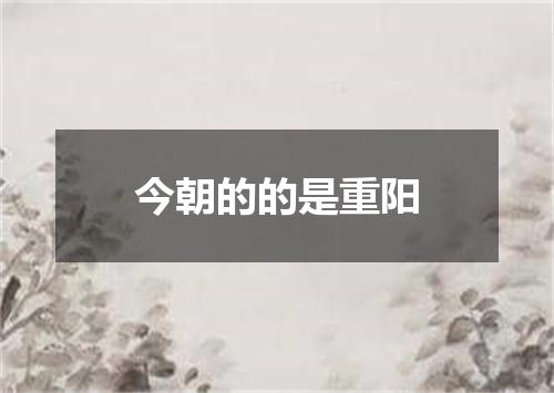 今朝的的是重阳