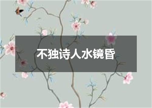 不独诗人水镜昏