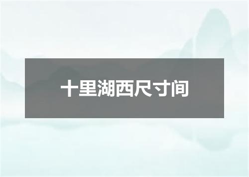 十里湖西尺寸间