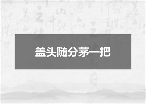 盖头随分茅一把