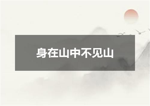 身在山中不见山