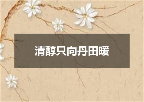 清醇只向丹田暖