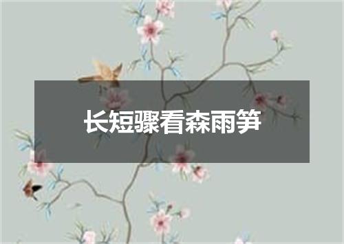 长短骤看森雨笋