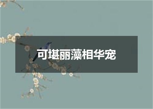 可堪丽藻相华宠