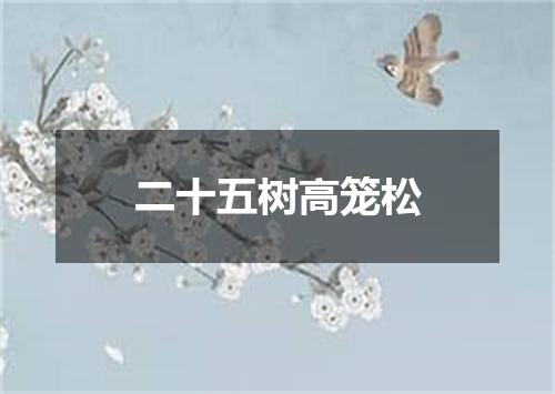 二十五树高笼松