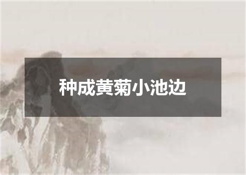种成黄菊小池边
