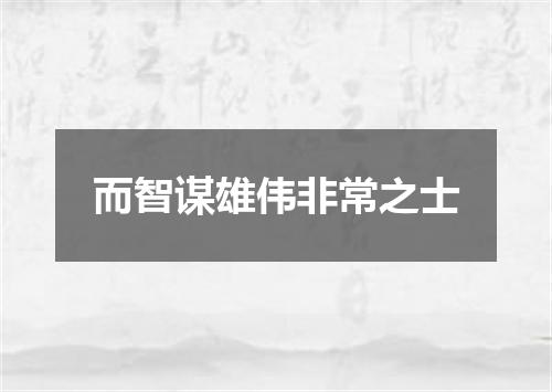 而智谋雄伟非常之士