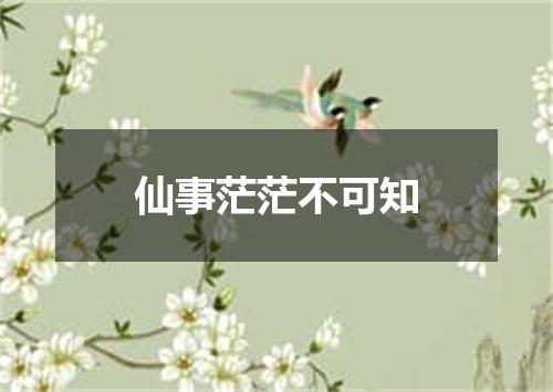 仙事茫茫不可知