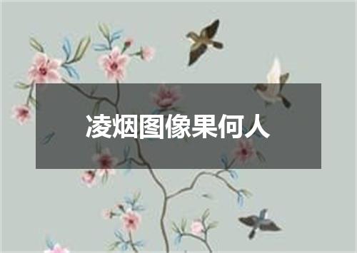 凌烟图像果何人