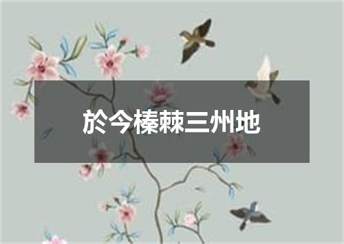 於今榛棘三州地