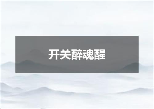 开关醉魂醒