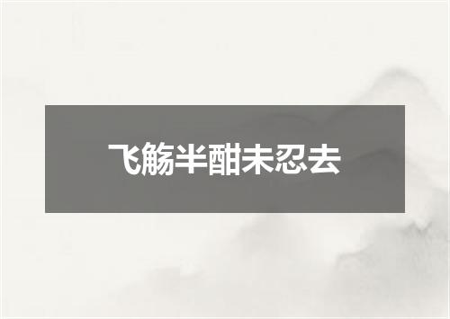 飞觞半酣未忍去