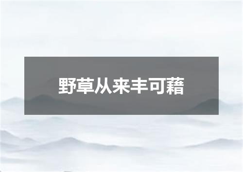 野草从来丰可藉