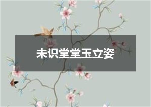 未识堂堂玉立姿