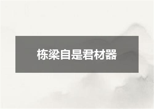 栋梁自是君材器