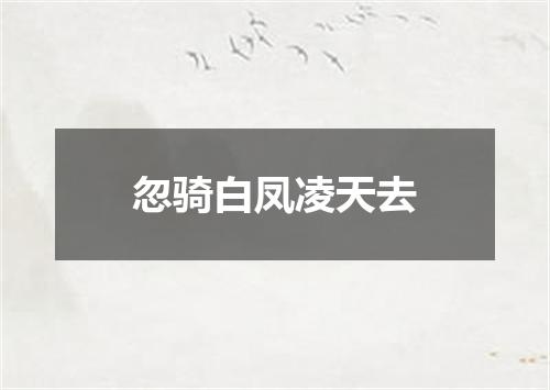 忽骑白凤凌天去