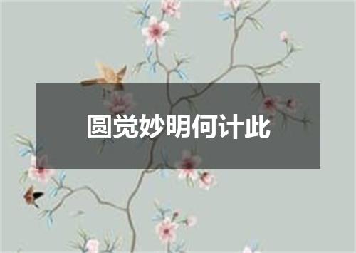 圆觉妙明何计此